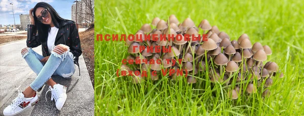 метадон Верея