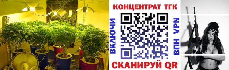 Дистиллят ТГК Wax Семёнов