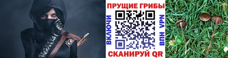 Псилоцибиновые грибы Cubensis Семёнов